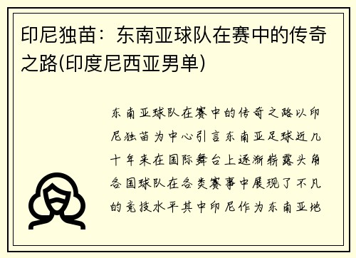 印尼独苗：东南亚球队在赛中的传奇之路(印度尼西亚男单)