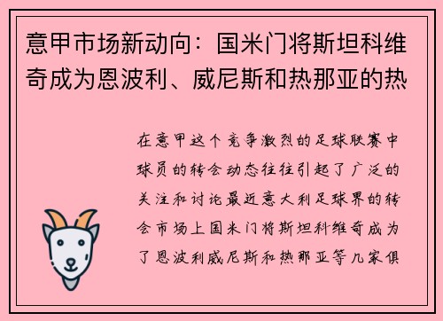 意甲市场新动向：国米门将斯坦科维奇成为恩波利、威尼斯和热那亚的热门人选