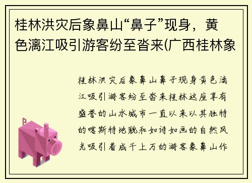 桂林洪灾后象鼻山“鼻子”现身，黄色漓江吸引游客纷至沓来(广西桂林象鼻山属于什么地貌)