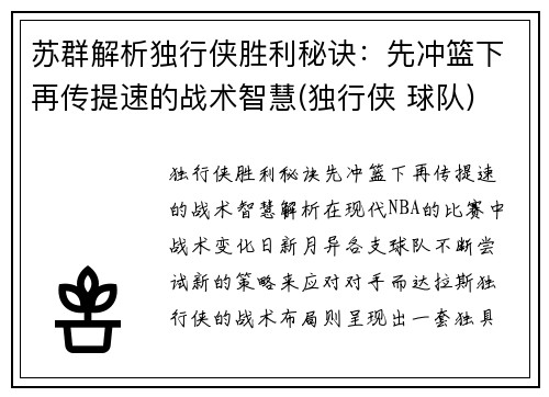 苏群解析独行侠胜利秘诀：先冲篮下再传提速的战术智慧(独行侠 球队)
