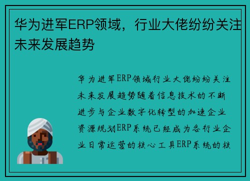 华为进军ERP领域，行业大佬纷纷关注未来发展趋势