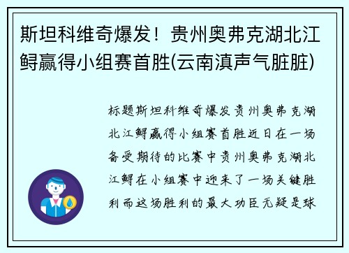 斯坦科维奇爆发！贵州奥弗克湖北江鲟赢得小组赛首胜(云南滇声气脏脏)
