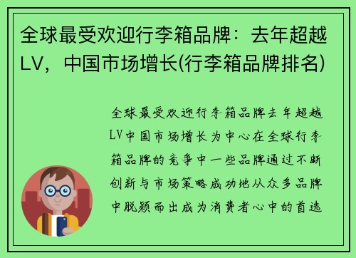 全球最受欢迎行李箱品牌：去年超越LV，中国市场增长(行李箱品牌排名)