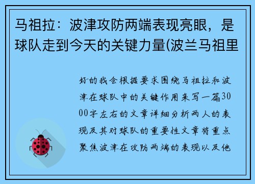 马祖拉：波津攻防两端表现亮眼，是球队走到今天的关键力量(波兰马祖里)